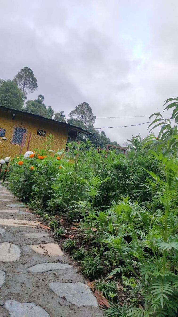 Krishna Kutir, Talla Ramgarh By The Meditating Society Eksteriør bilde